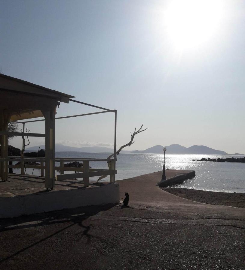 Hotel Rena Agios Kirykos  Ngoại thất bức ảnh